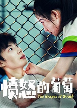 愤怒的葡萄