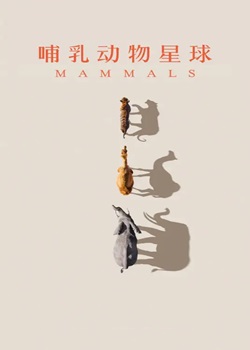 哺乳动物星球
