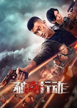 破毒行动