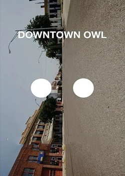 猫头鹰市中心