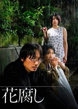 腐花之雨