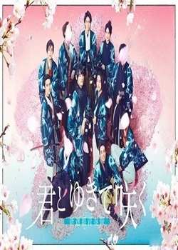 与你一起绽放～新选组青春录～