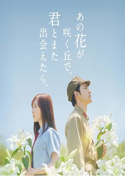 与你再遇鲜花盛开之丘