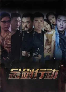 金剑行动