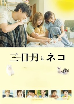 三日月与猫