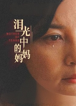 泪光中的妈妈