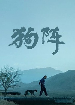 狗阵