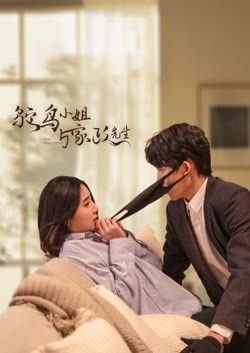 鸵鸟小姐与家政先生