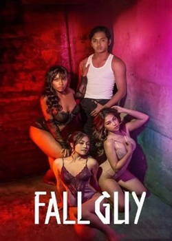 冤狱风云/Fall Guy