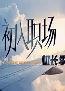 初入职场·机长季
