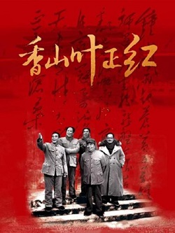 香山叶正红