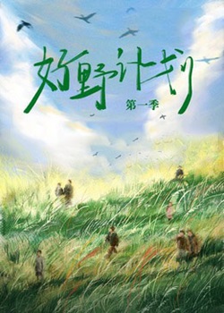 好野计划