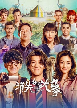 消失的大象