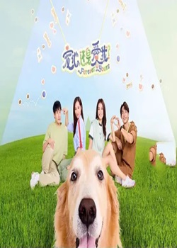 宠他，还是爱我？