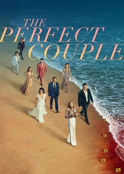 完美伴侣/The Perfect Couple