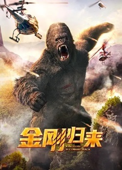 金刚归来