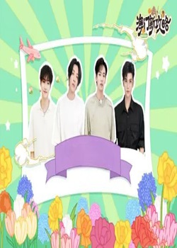 澳门新攻略