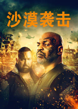 沙漠袭击