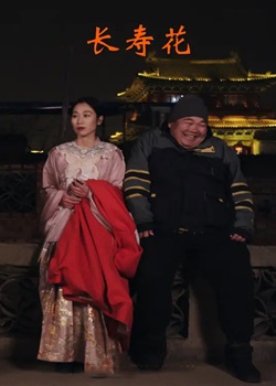 长寿花
