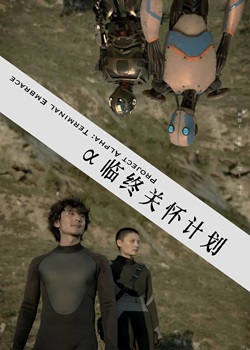 α临终关怀计划
