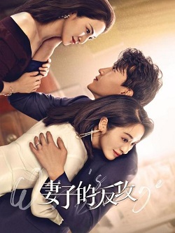 妻子的反攻