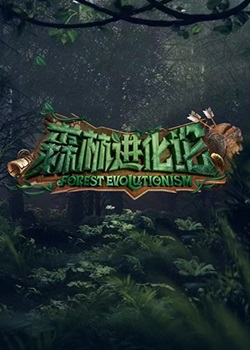 森林进化论第二季
