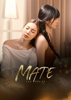 链爱/MateTheSeries