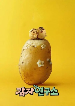 马铃薯研究所/감자연구소