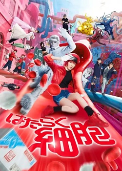 工作细胞真人版