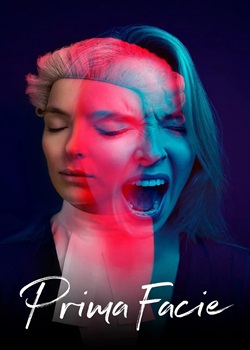 初步举证/Prima Facie