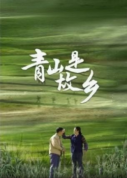 青山是故乡