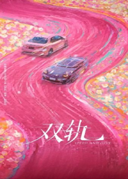 双轨