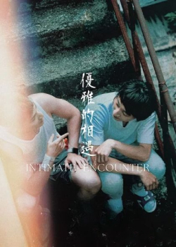 优雅的相遇