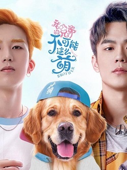 我的兄弟不可能这么萌