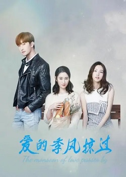 爱的季风掠过