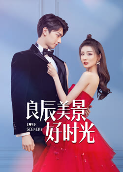 良陈美锦