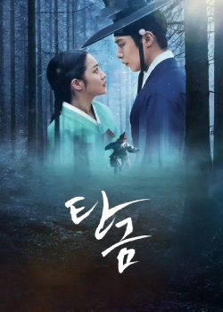 吞金/탄금