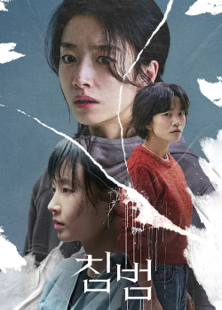 侵犯/침범