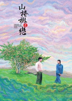 山楂树之恋