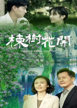 楝树花开
