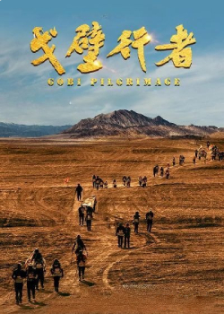 戈壁行者