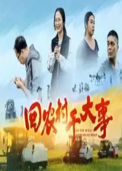 回农村干大事