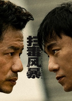 扫毒风暴TV版