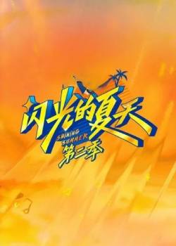 闪光的夏天第二季
