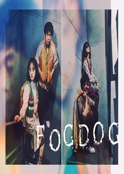 FOGDOG