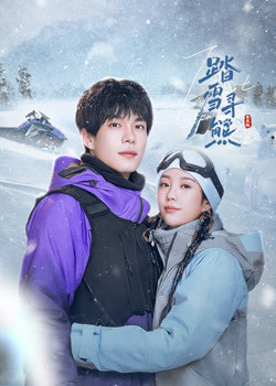踏雪寻熊
