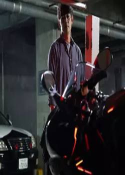 蜥蜴：警视厅特殊犯搜查系