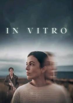 体外细胞/In Vitro