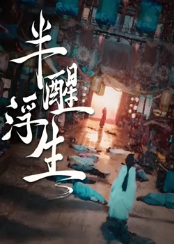 半醒浮生