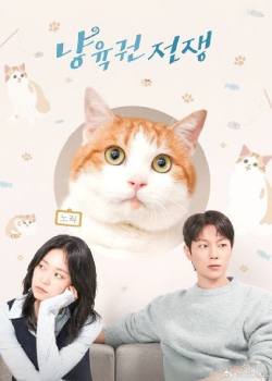 猫养权战争